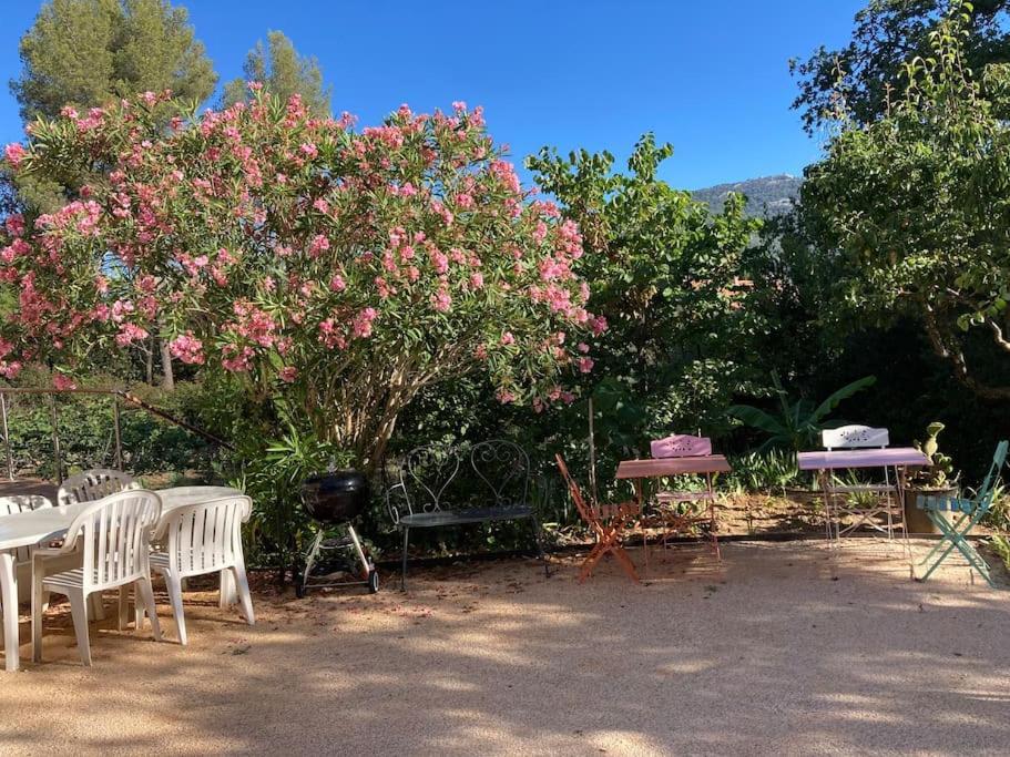 Haut De Villa Avec Terrasse Privative Jardin Et Parking Tout Pres Des Plages 土伦 外观 照片