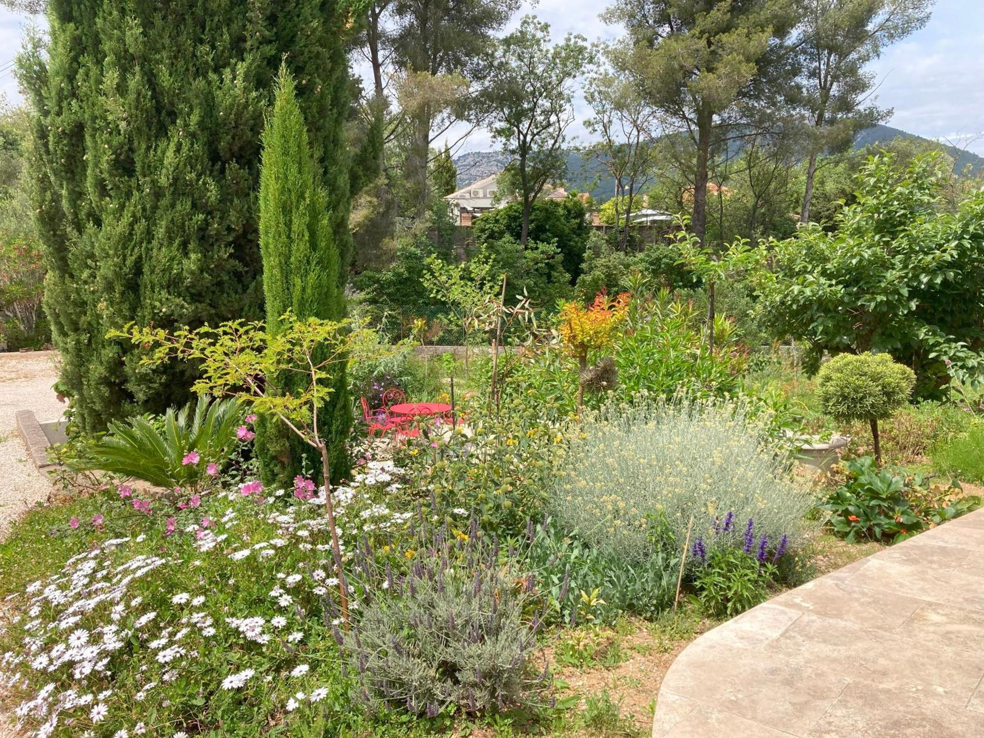Haut De Villa Avec Terrasse Privative Jardin Et Parking Tout Pres Des Plages 土伦 外观 照片